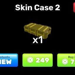 RIVALS - Skin Case 2【249R】 0
